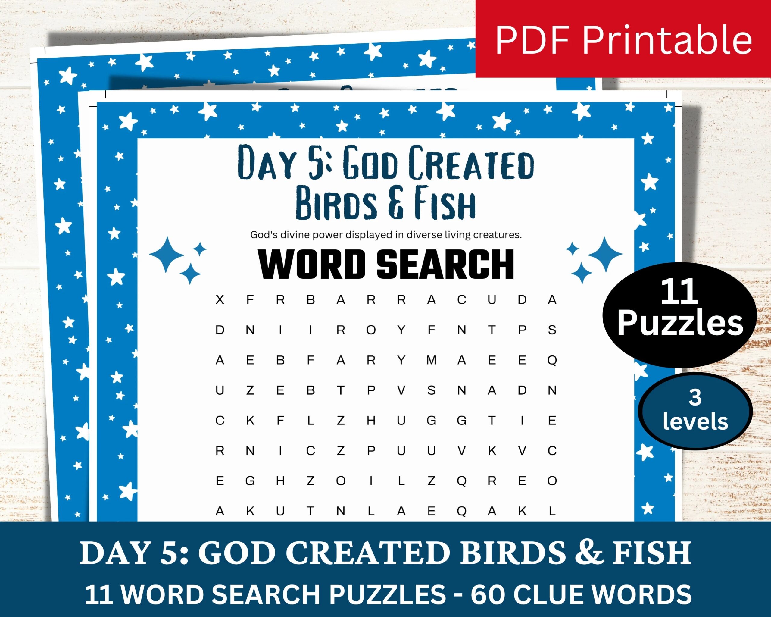 11 Bible Stories Themed Word Search Puzzle Games Sunday School Class Printable Church Youth Activity Catholic Holiday Christian Game PDF Etsy