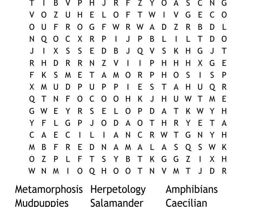 All About Amphibians Word Search WordMint