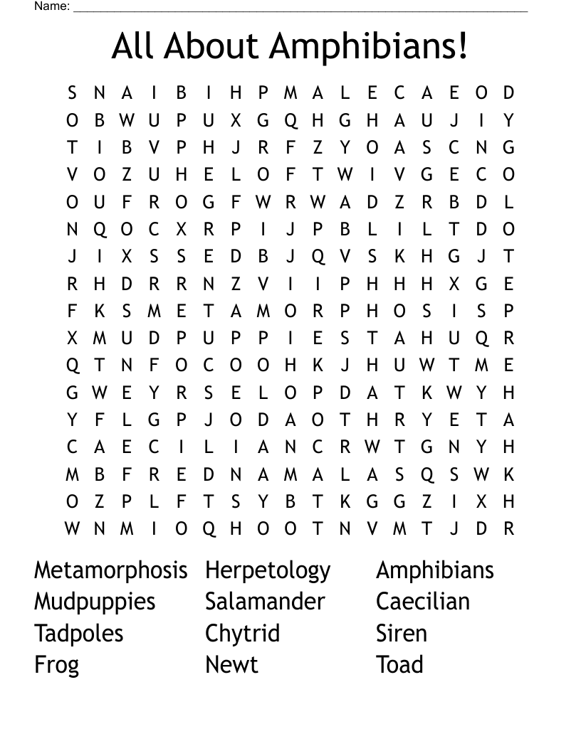 All About Amphibians Word Search WordMint