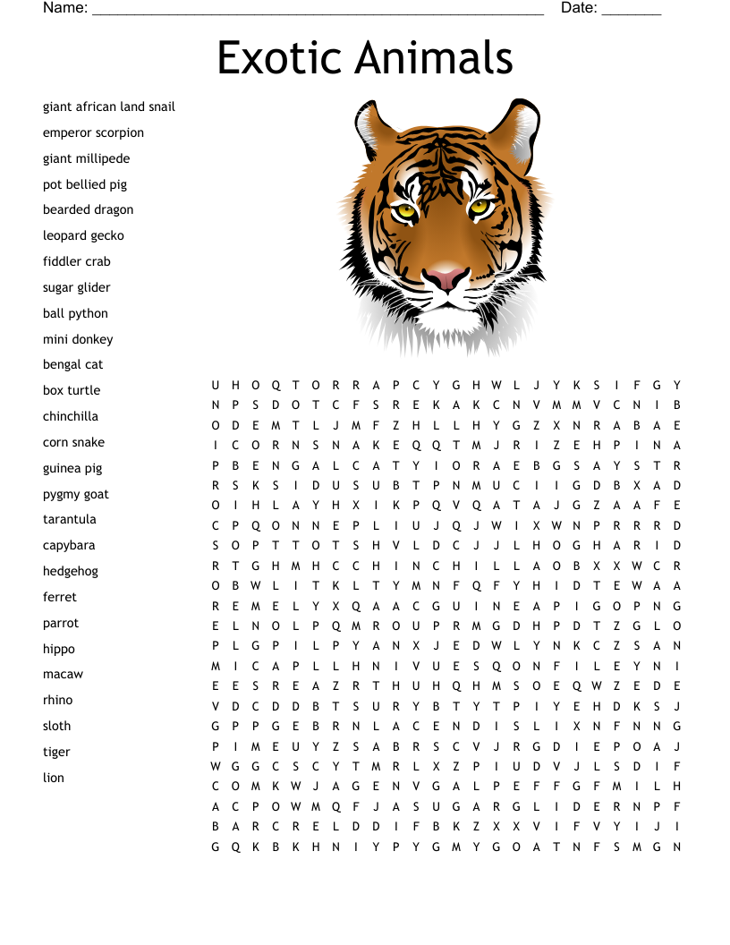 Australian Animals Word Search Printable