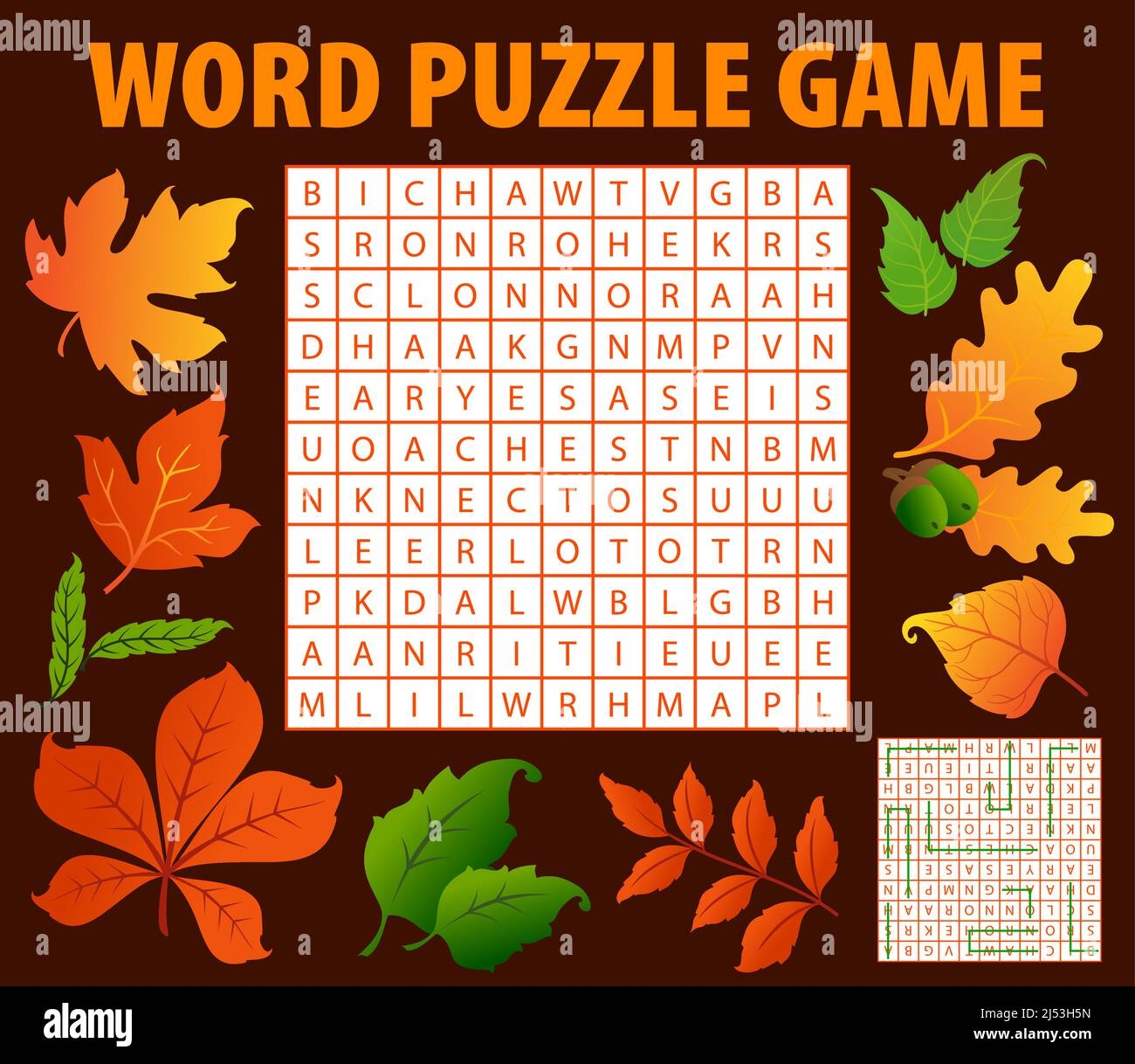 Autumn Leaves And Acorns Word Search Puzzle Game Worksheet Kids Quiz Vector Crossword Grid With Words