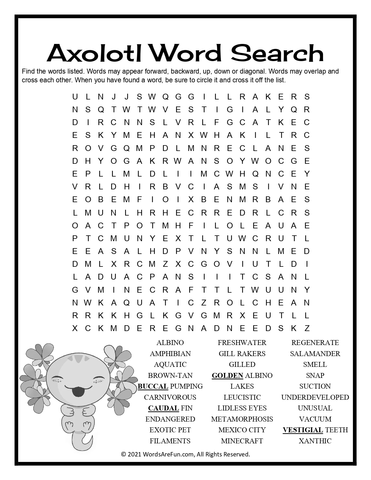 Axolotl Word Search Coloring Page Fun Printable Science Activity For Kids Amphibian Life Cycle Worksheet Payhip