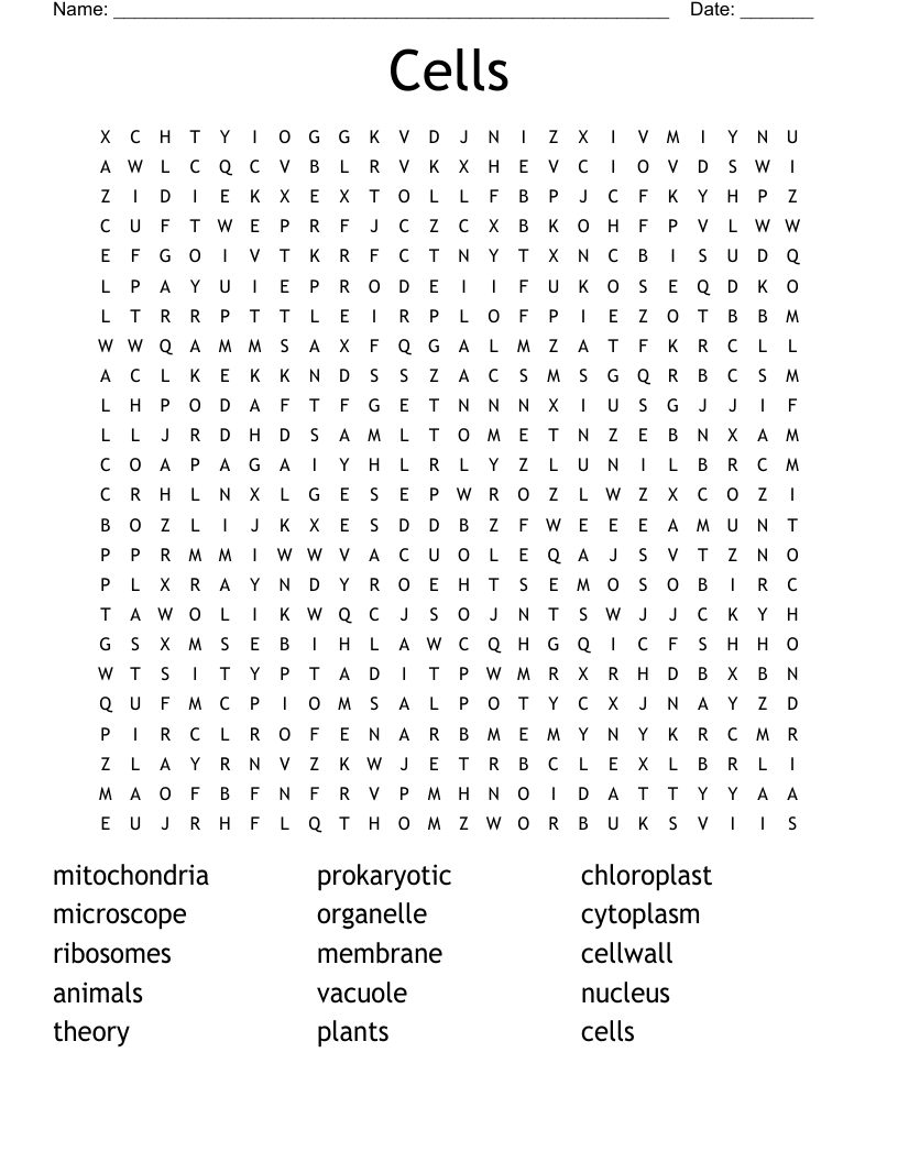 Biology Cell Anatomy Word Search WordMint