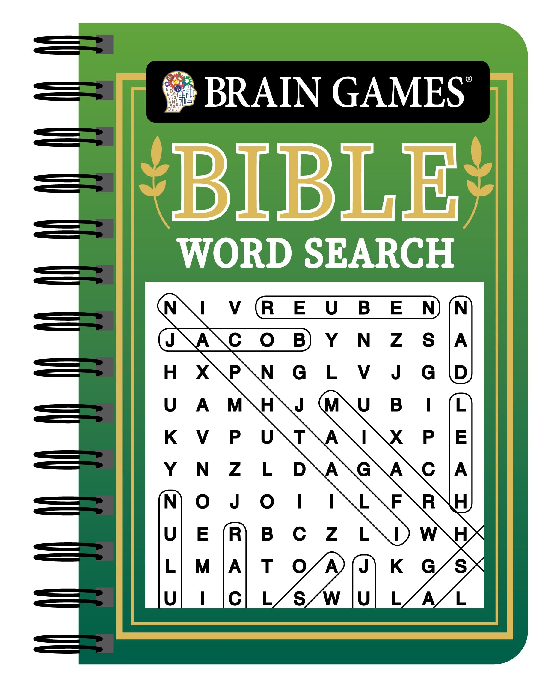 Printable Bible Word Search For Youth