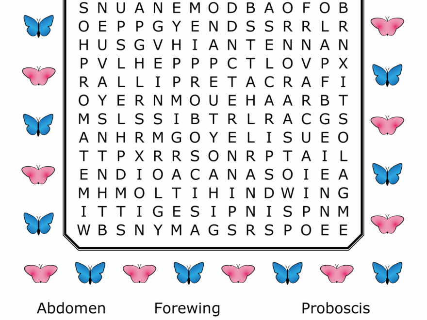 Butterfly Word Search