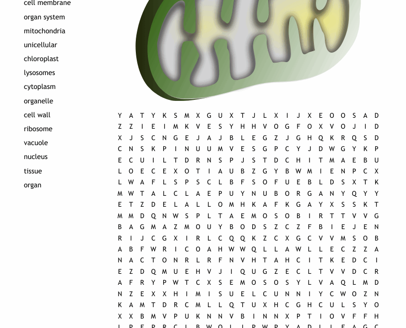 Cells Word Search WordMint Worksheets Library