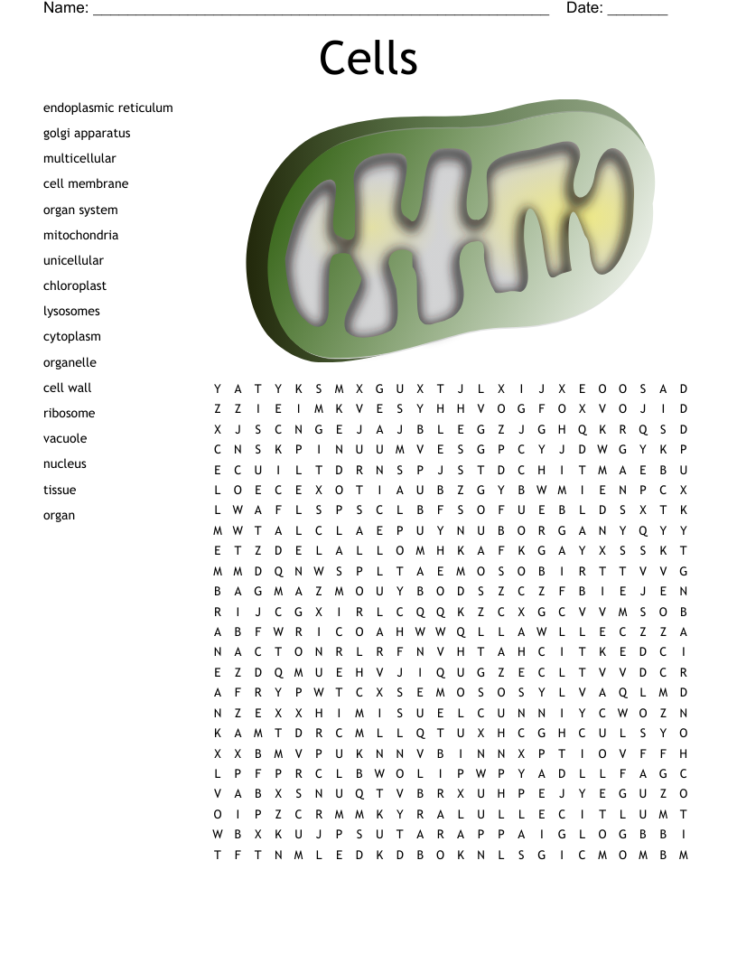 Cells Word Search WordMint Worksheets Library