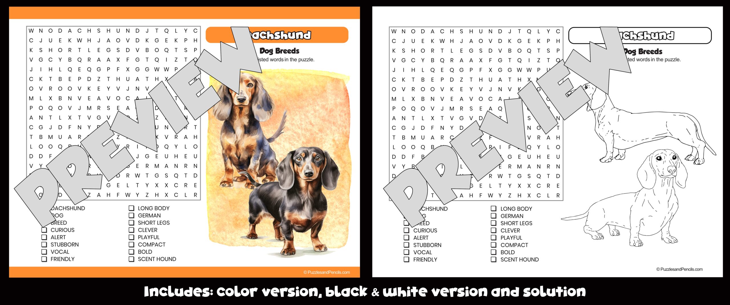 Dachshund Word Search Puzzle Activity Page And Colouring Dog Breeds Teaching Resources