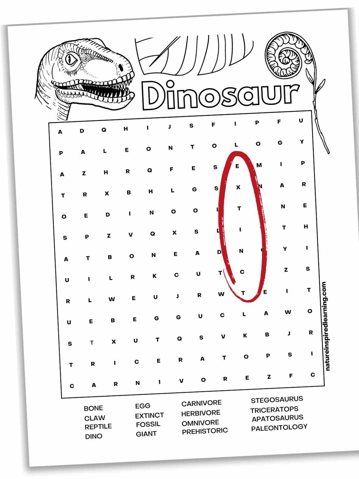 Word Search Free Printable Hard For Elementary Students