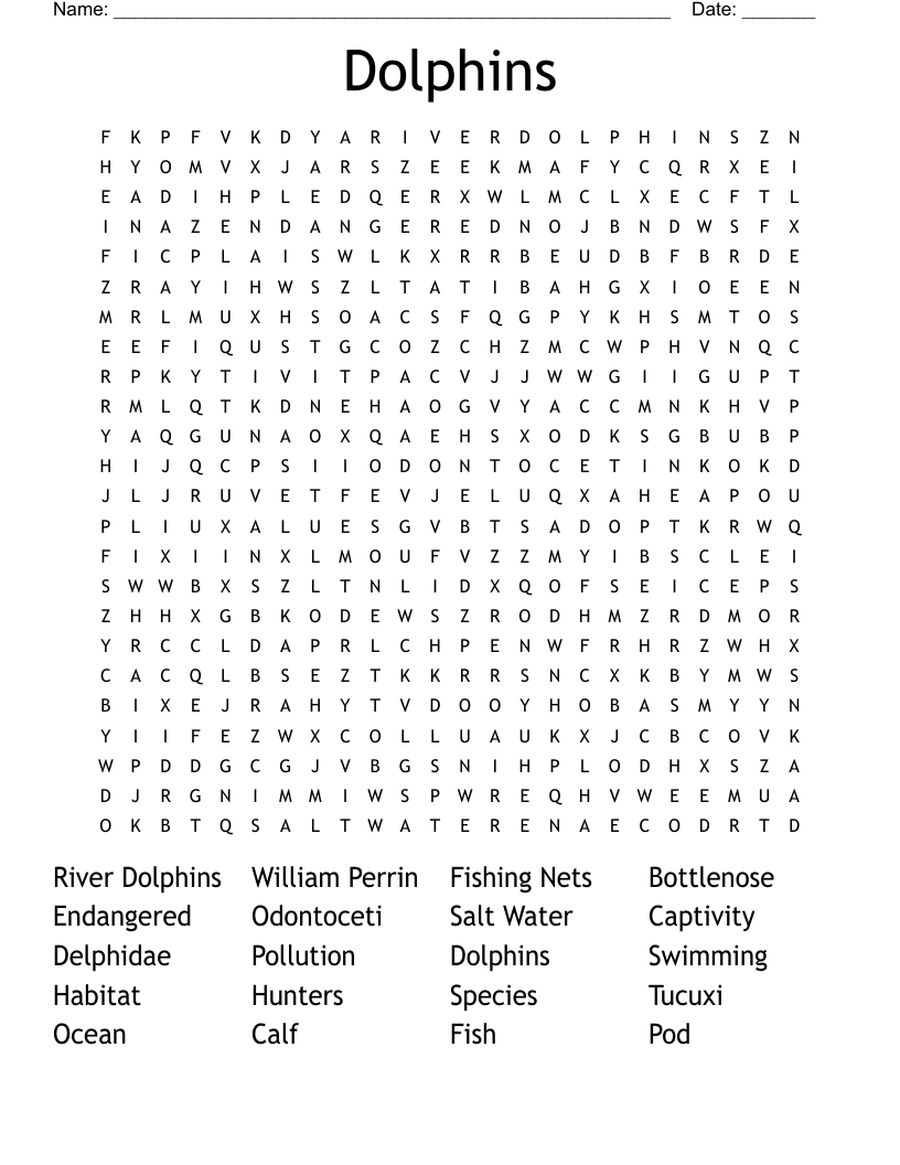 Dolphins Word Search WordMint