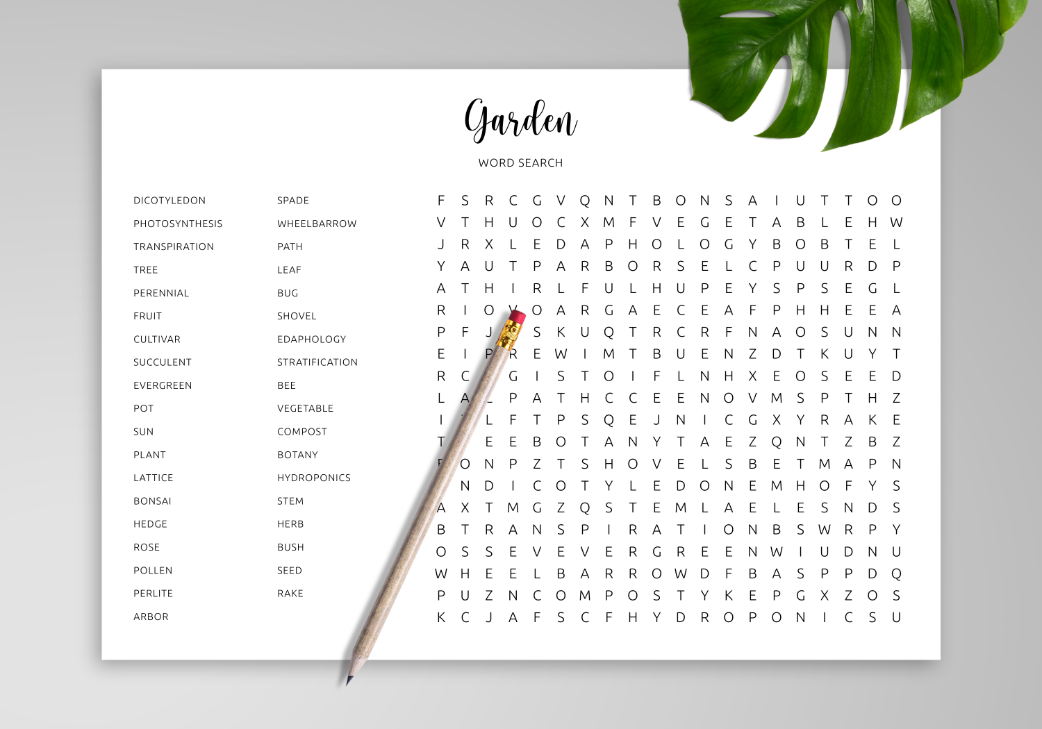 Download Printable Garden Word Search In PDF