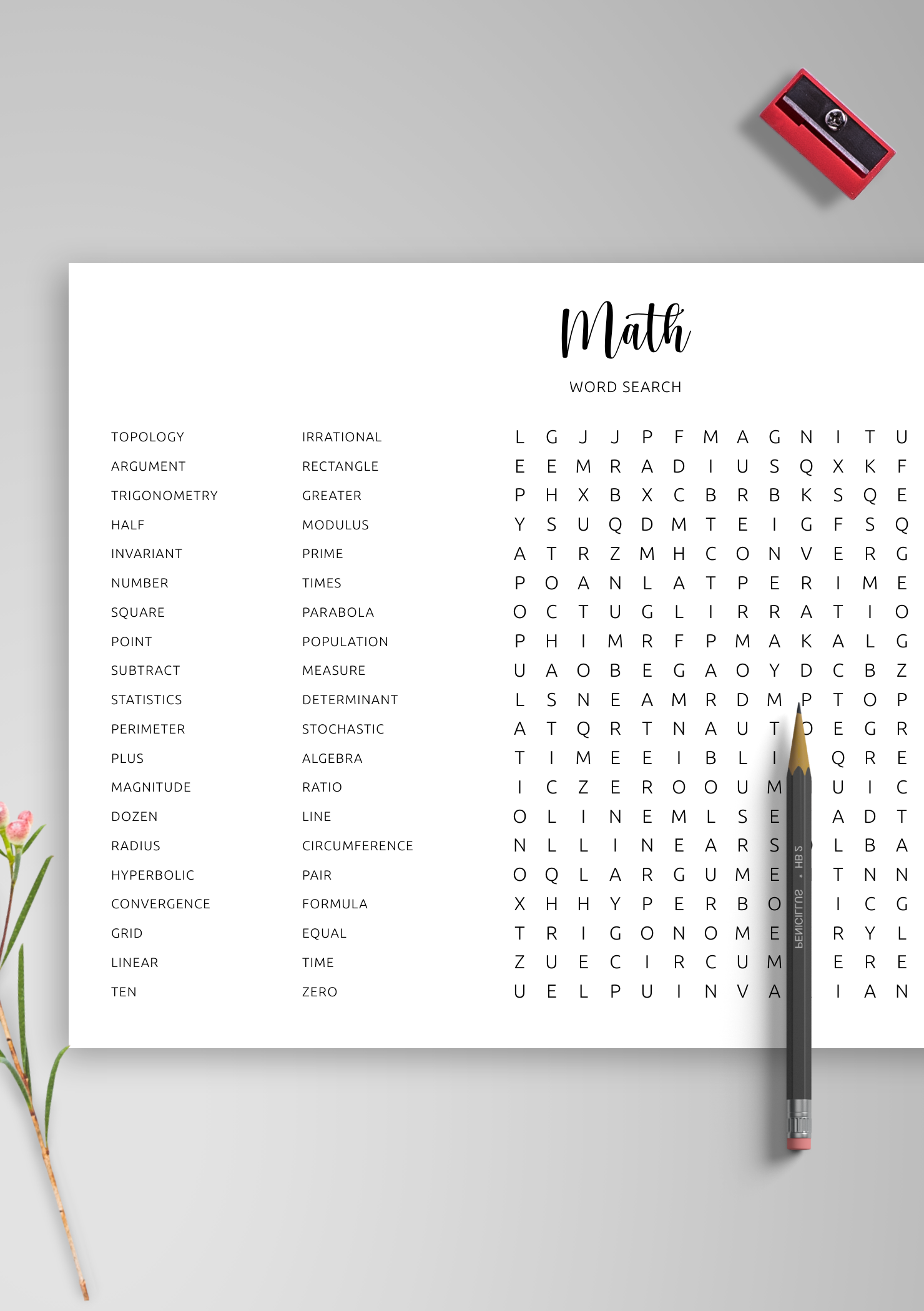 Download Printable Mathematics Word Search In PDF