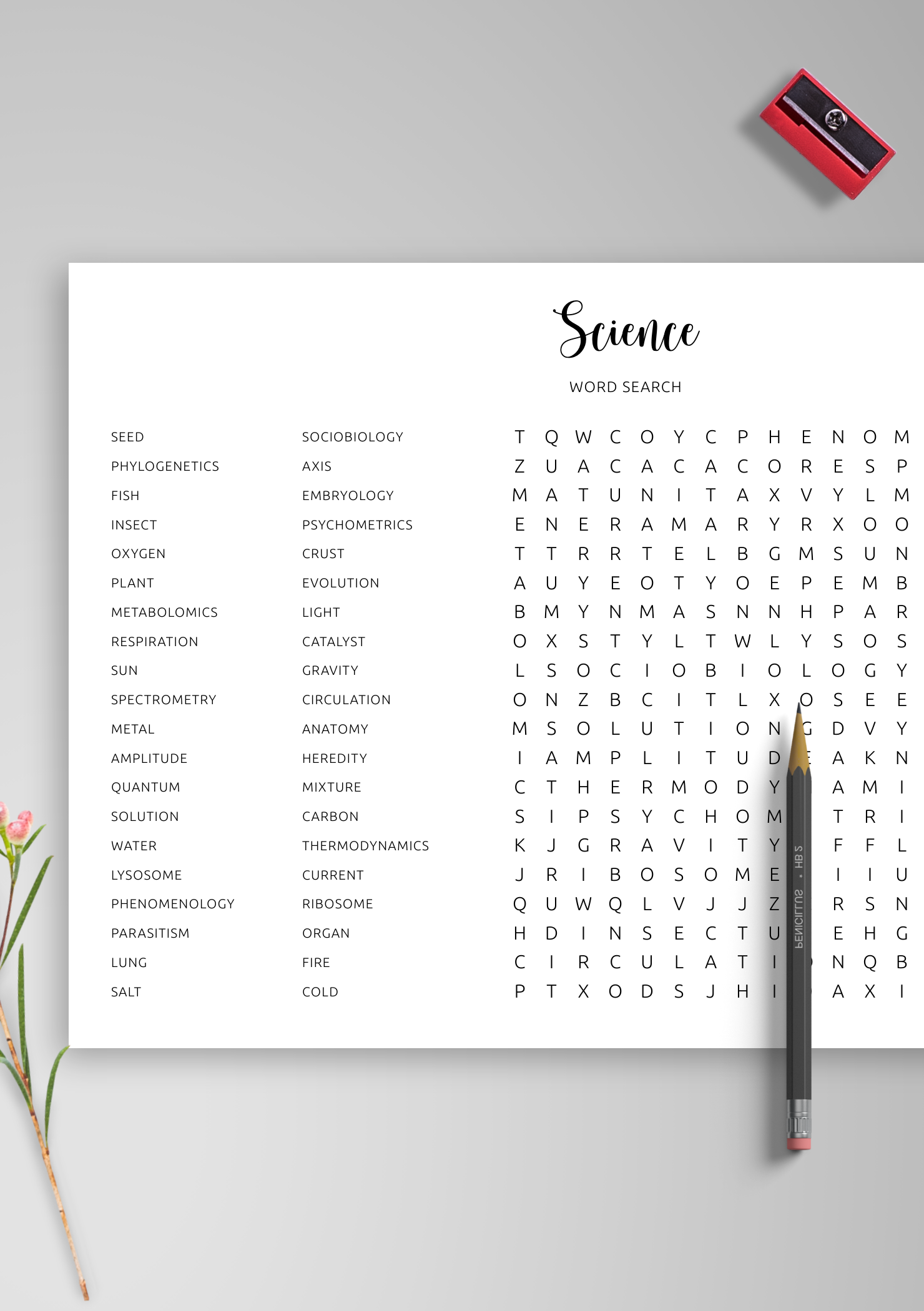 Download Science Word Search Printable In PDF