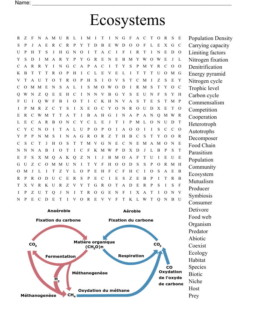 Ecosystems Word Search WordMint