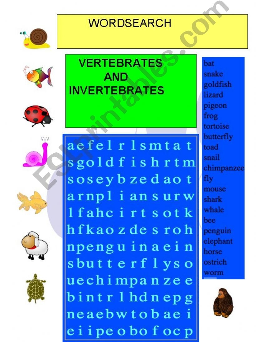 esl english powerpoints wordsearch vertebrates and invertebrates