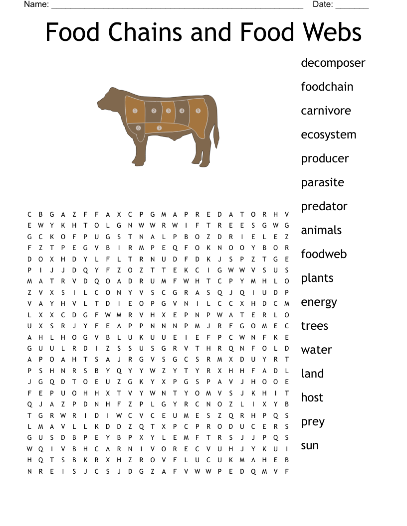Food Chains And Food Webs Word Search WordMint