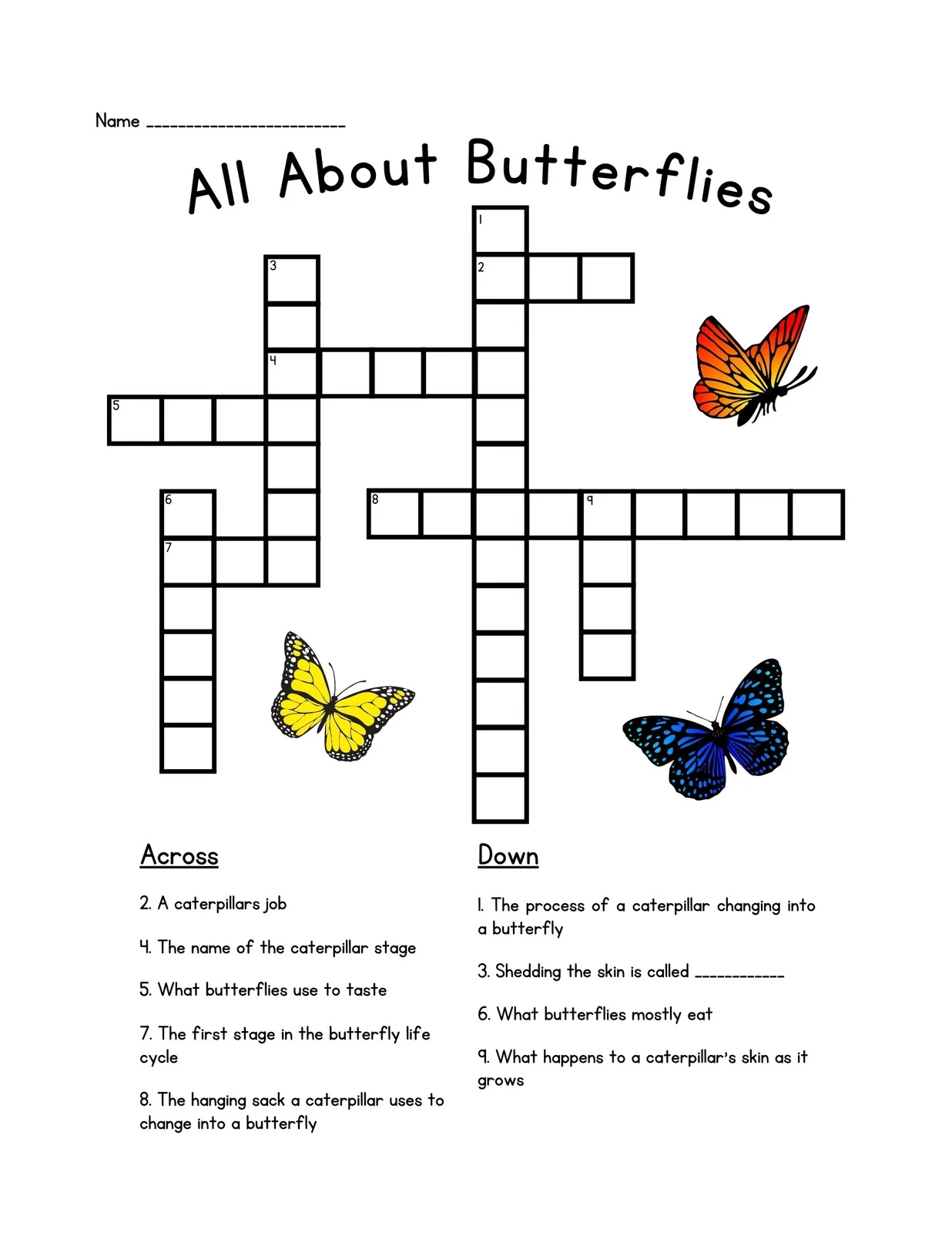 Empty Word Search Printable
