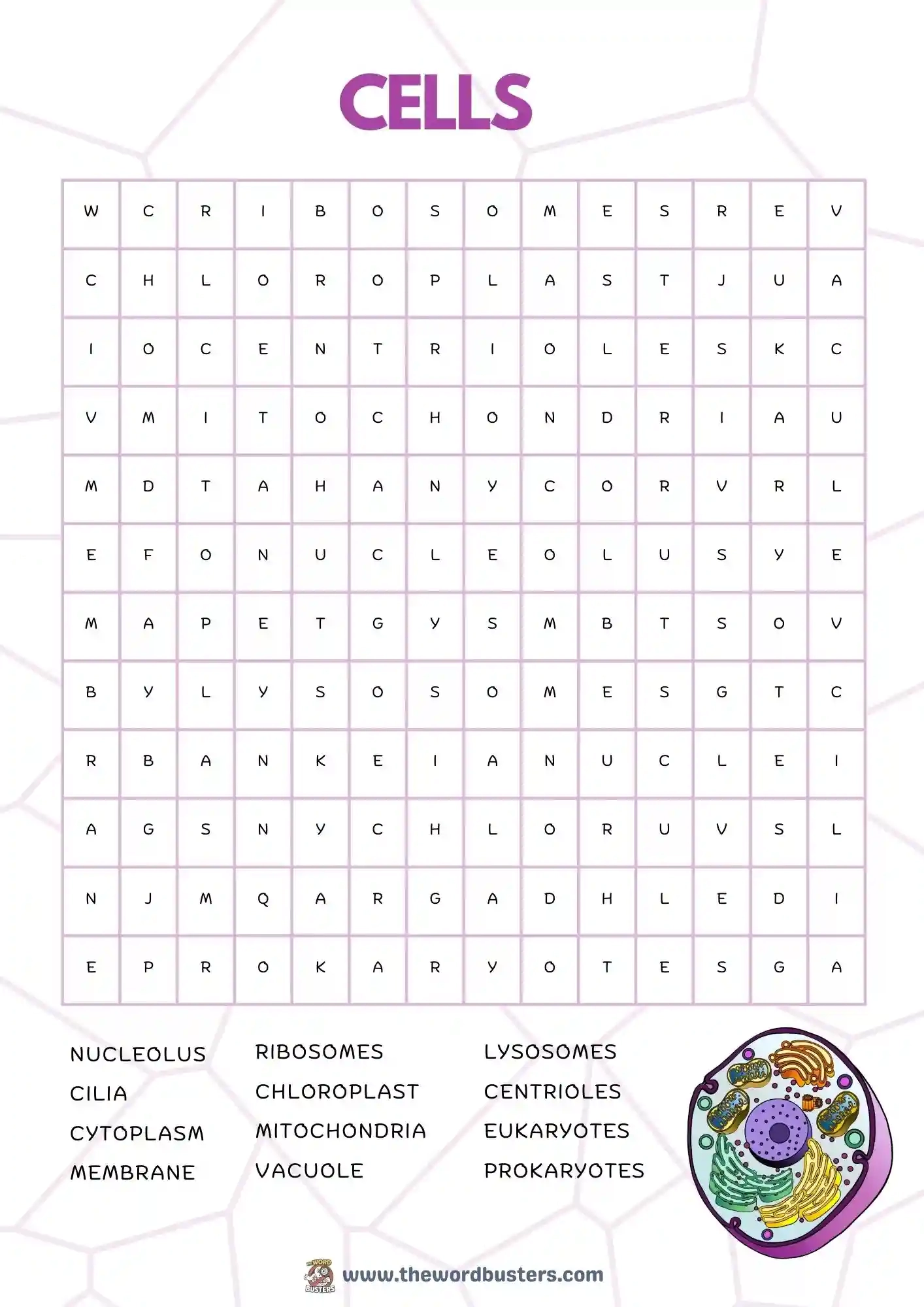  Free Educational Word Searches Printable PDF