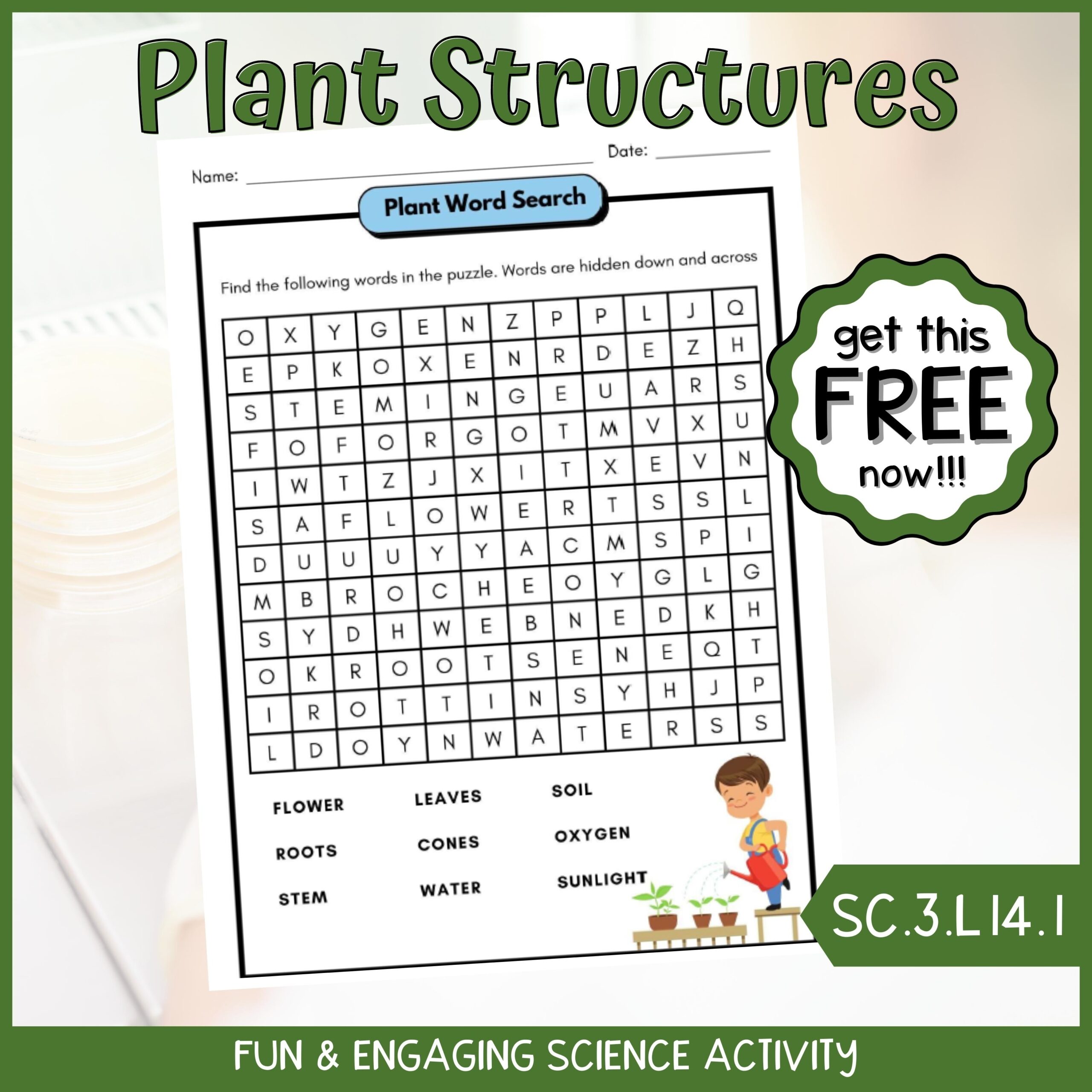 FREE Plant Structures And Functions Word Search Fun Science Activity Classful