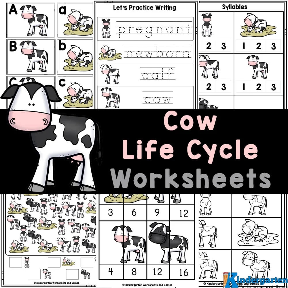  FREE Printable Life Cycle Of A Cow Worksheets For Pre k Kindergarten