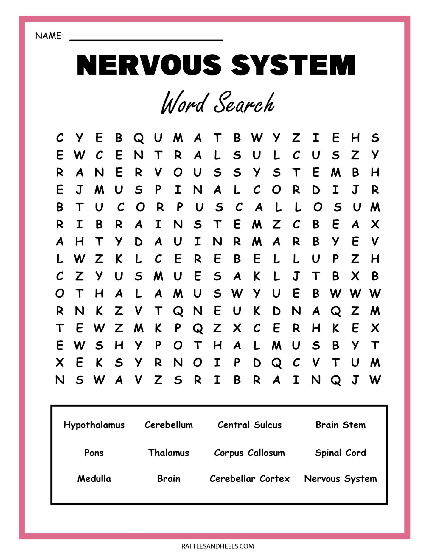 Free Science Worksheets The Nervous System 