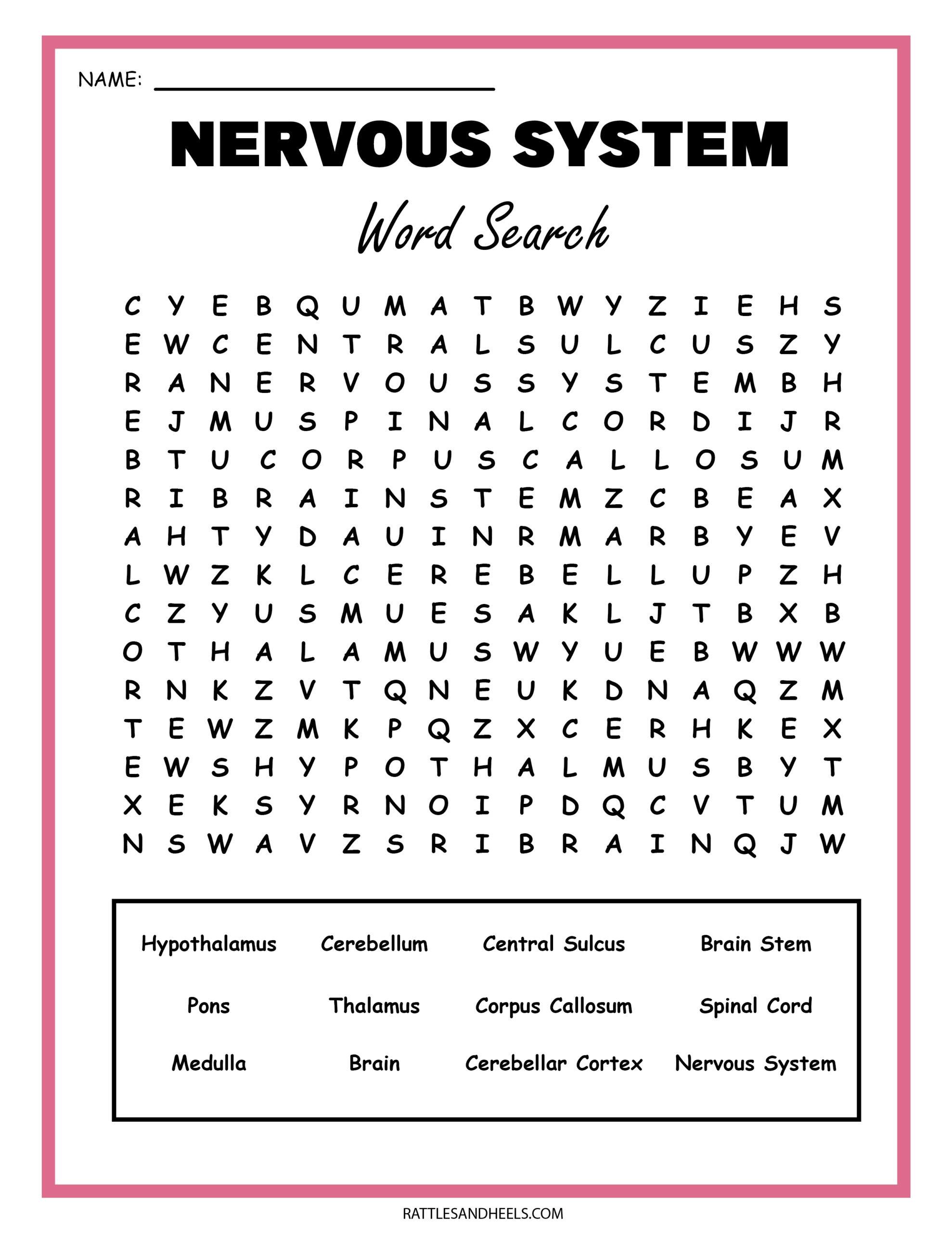 Science Printable Word Searches