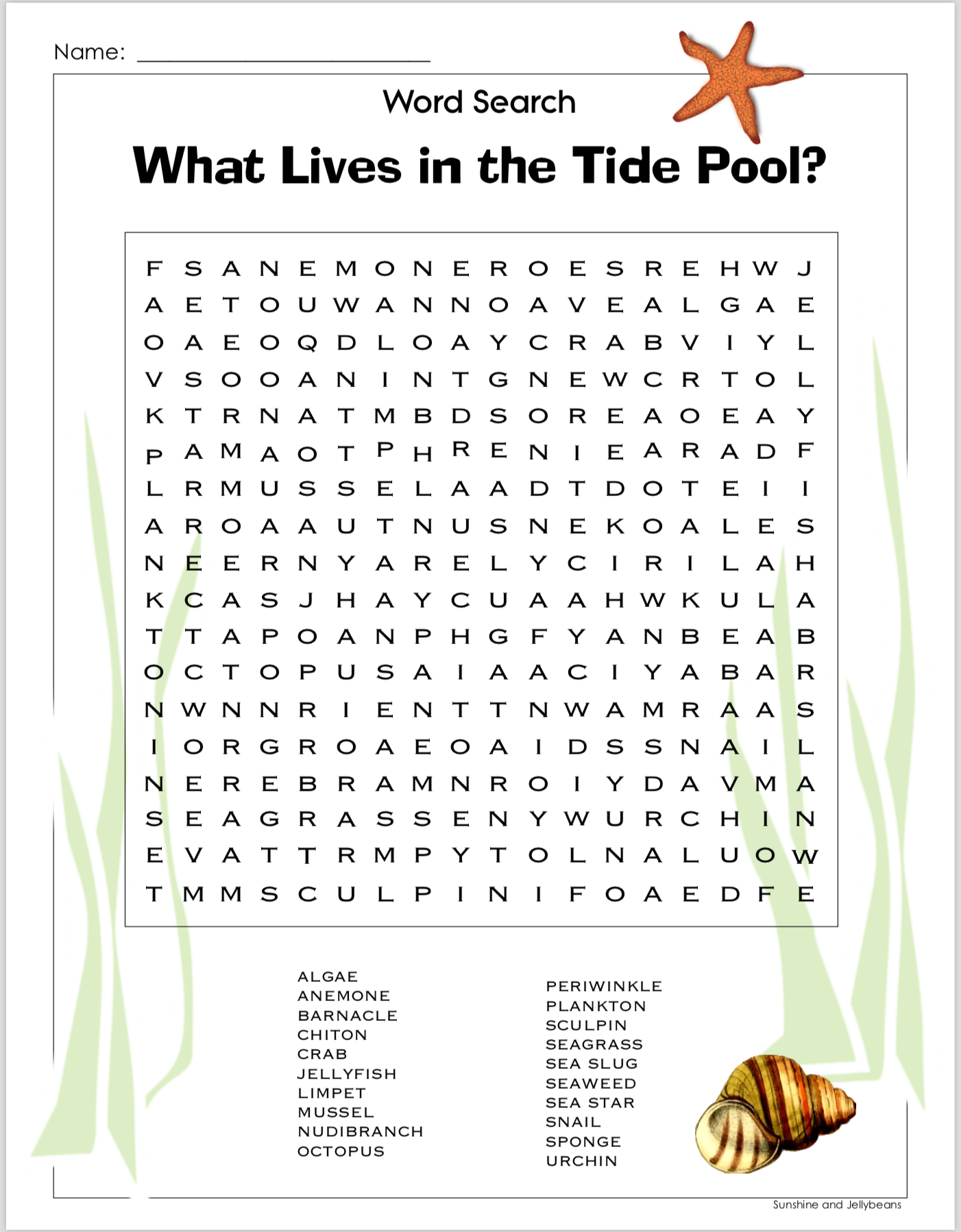Freebie Word Search What Lives In The Tide Pool Grades 3 5 Made By Teachers