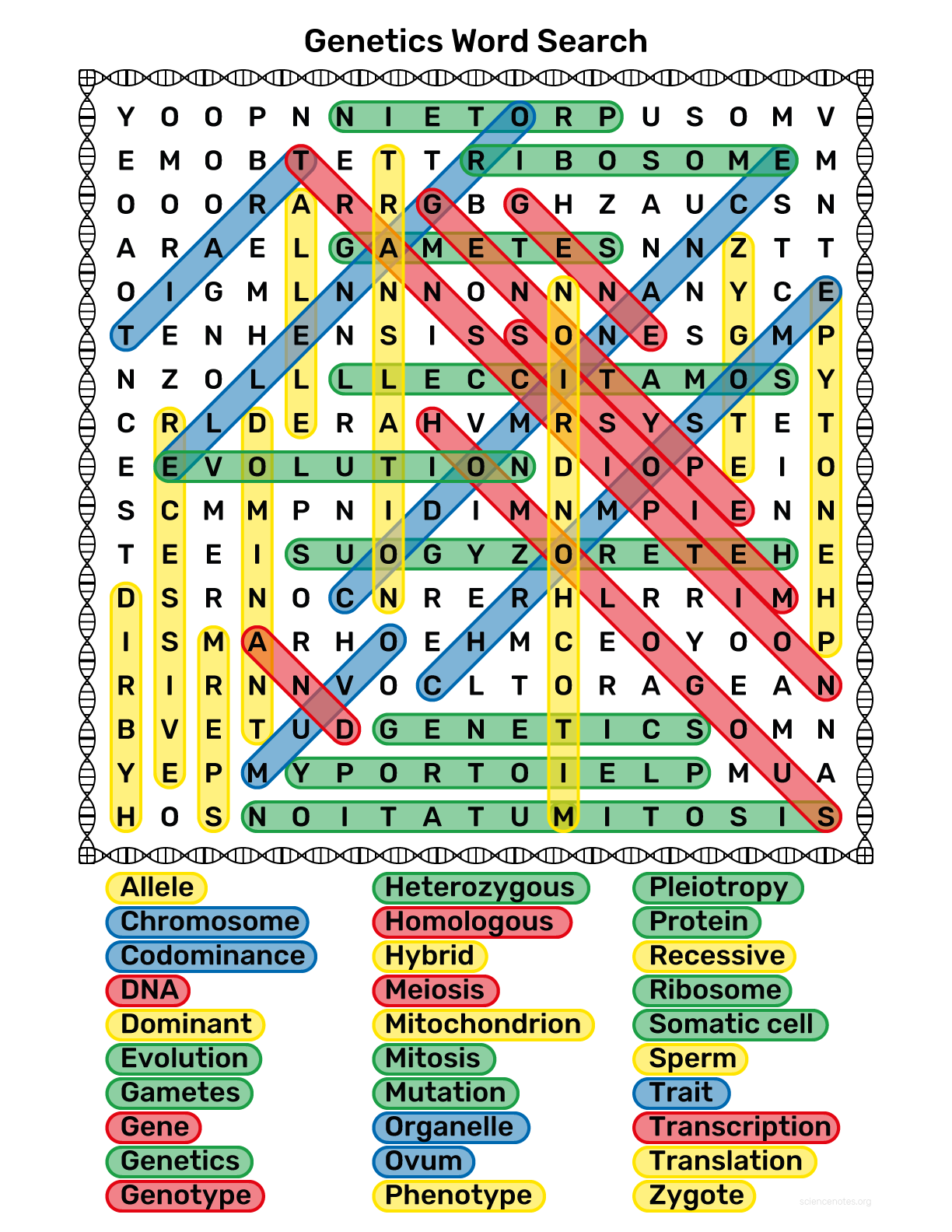 Genetics Word Search
