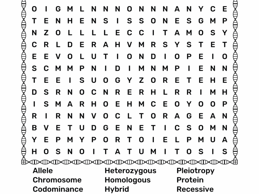 Genetics Word Search