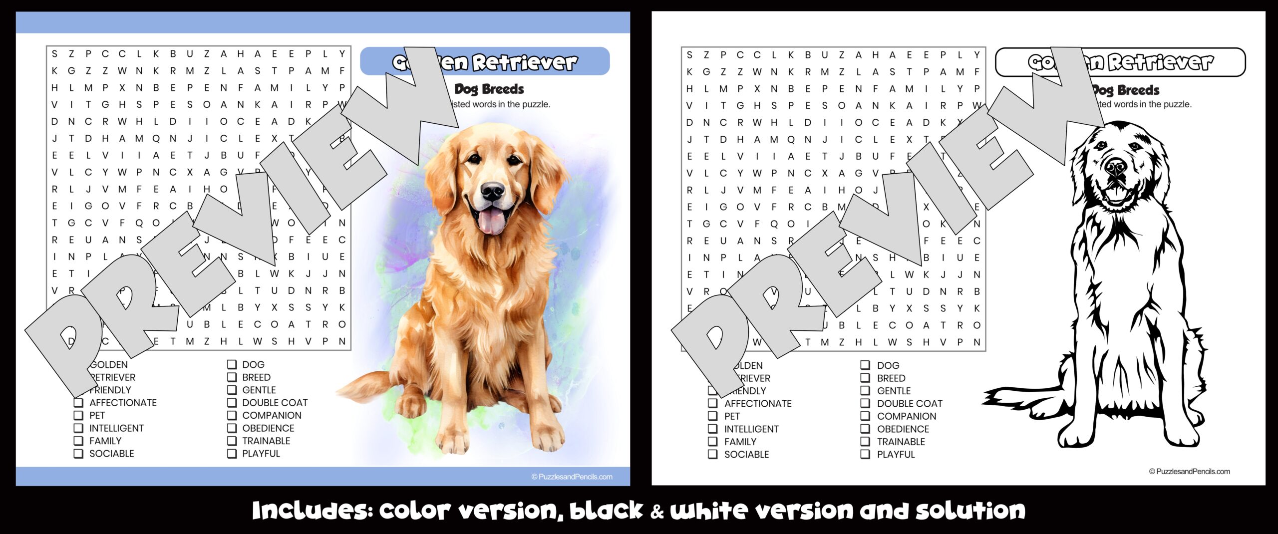 Golden Retriever Word Search Puzzle Activity Page And Colouring Dog Breeds Teaching Resources