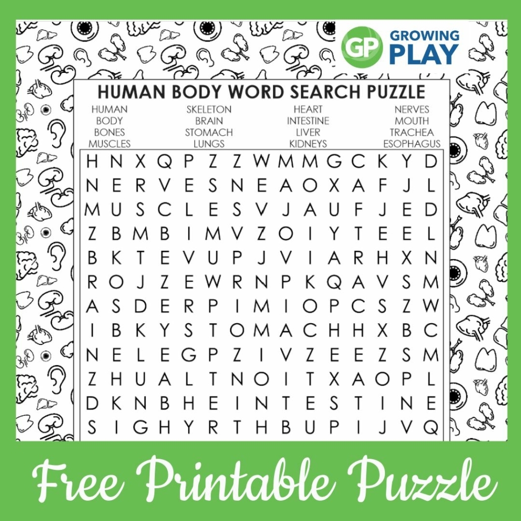 Free Printable Word Searches For Digestive System