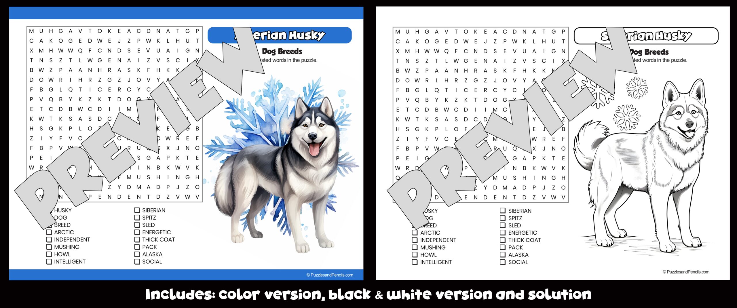 Husky Word Search Puzzle Activity Page And Colouring Dog Breeds Teaching Resources