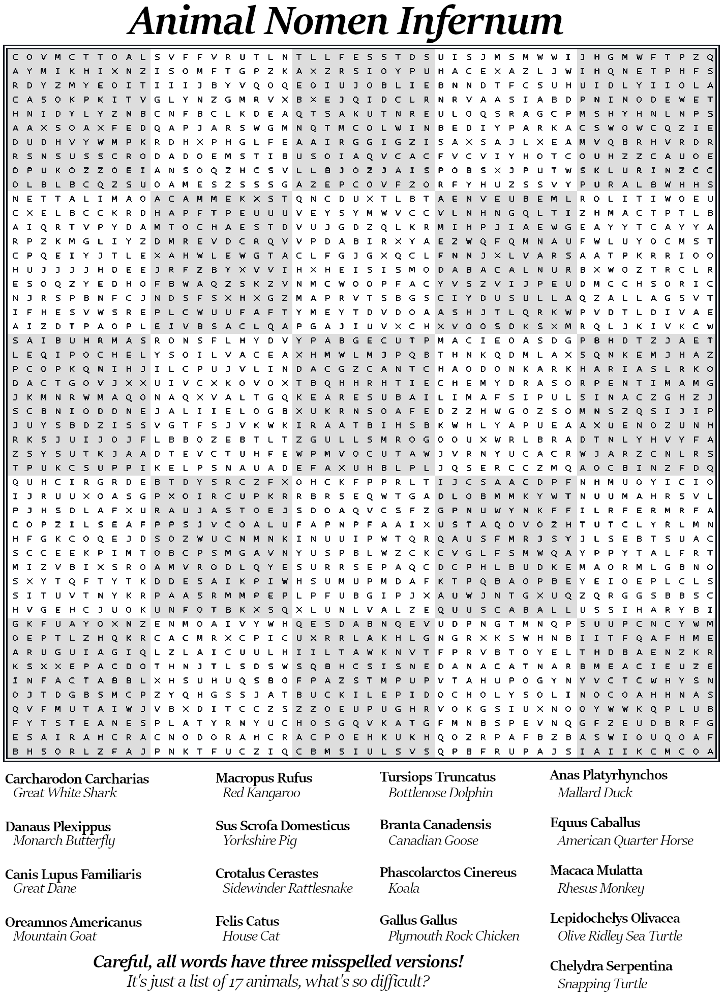 Crossword Puzzle Maker Word Search Puzzles Printable