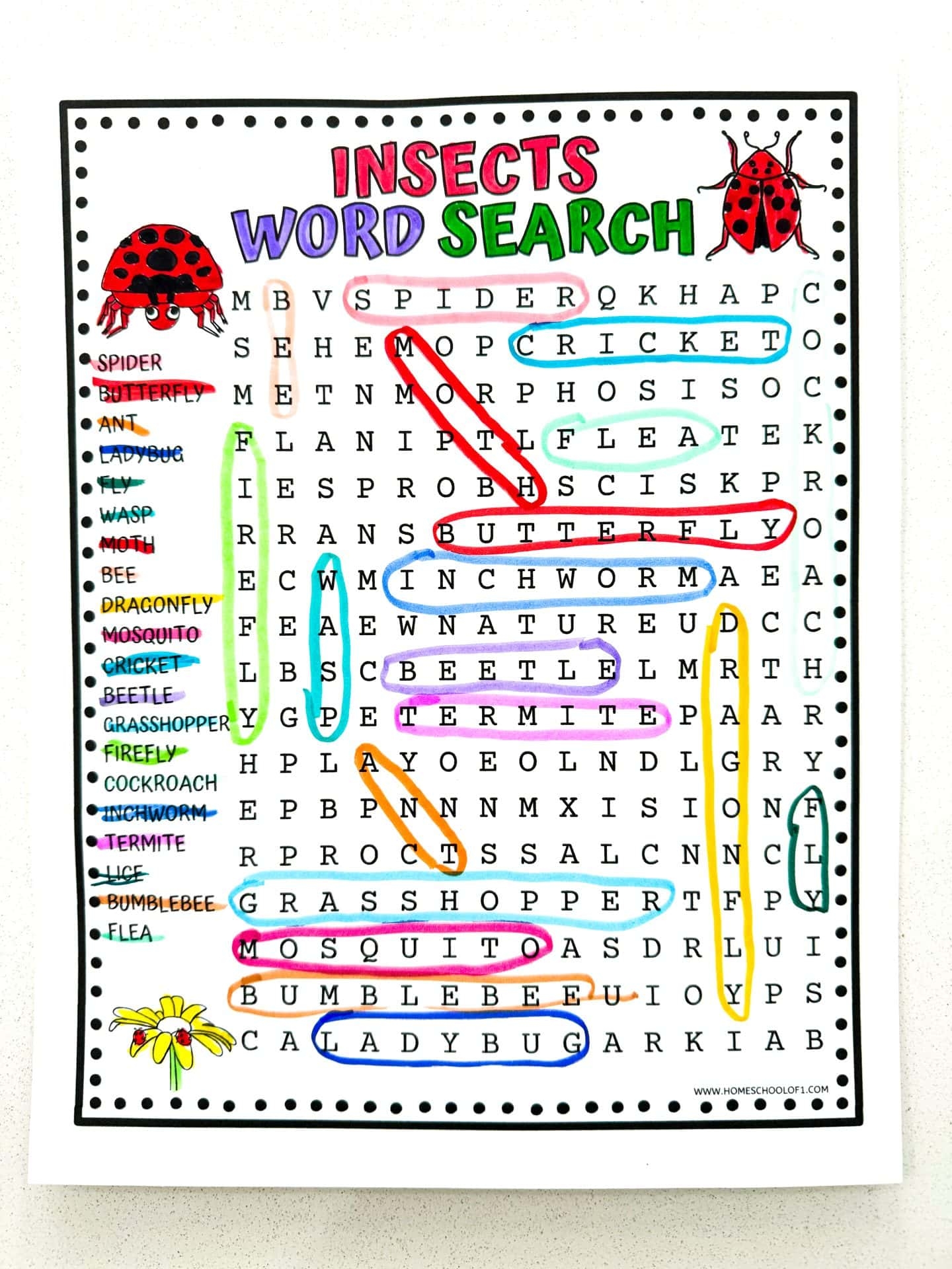 Spider Word Search Printable