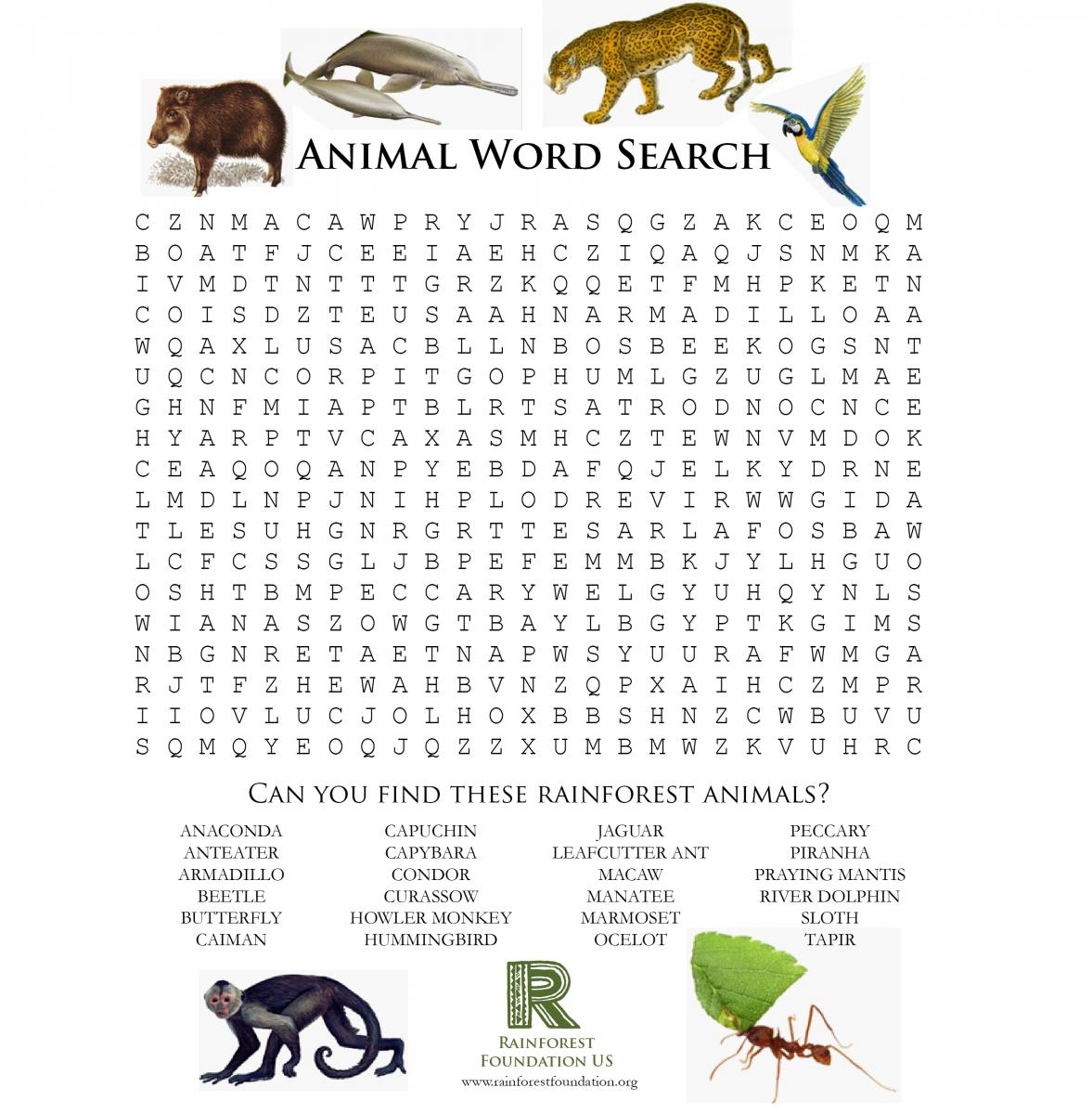 Kids Corner Learn About Rainforests Rainforest Foundation US
