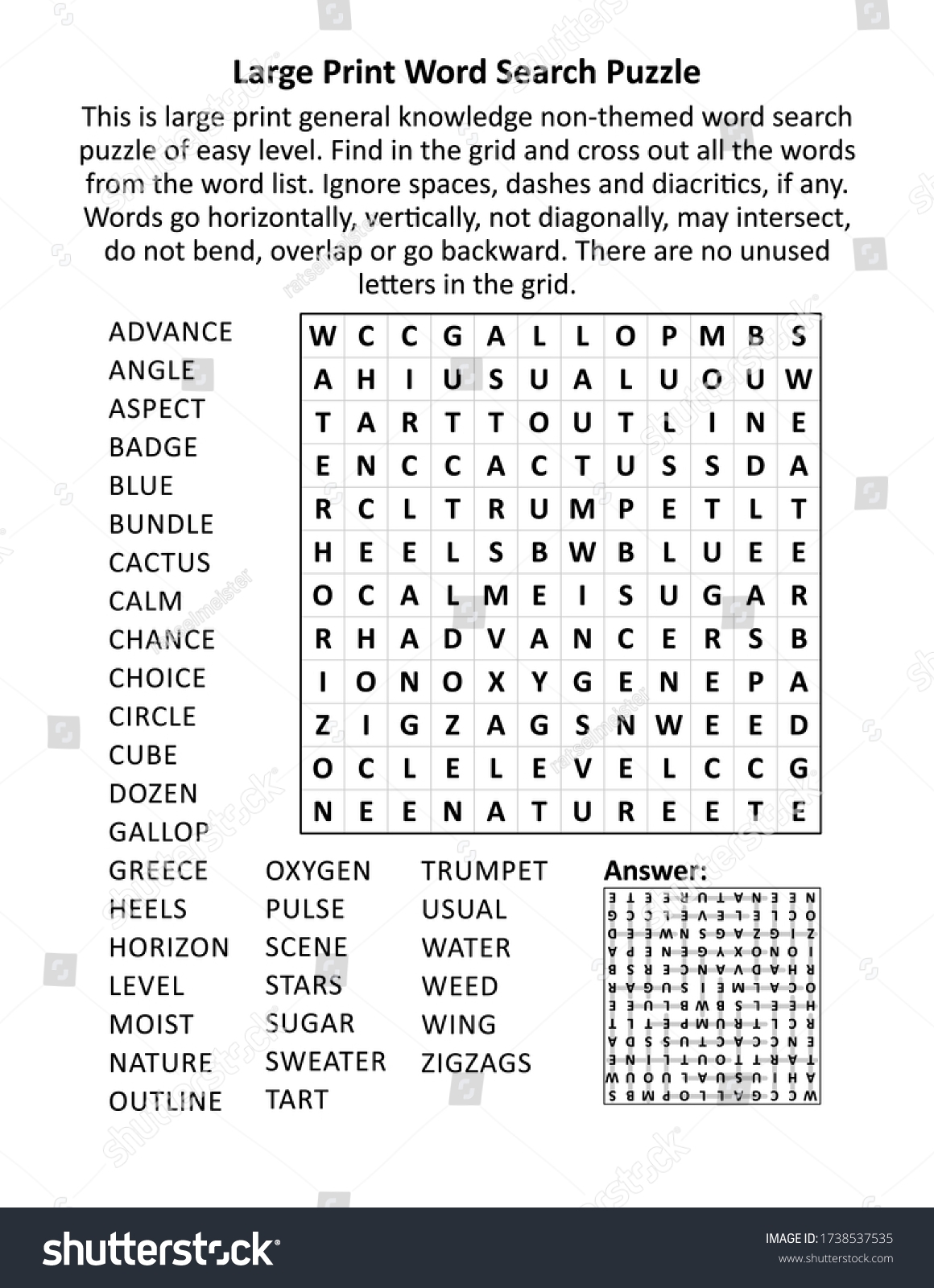 Large Print General Knowledge Word Search Stock Illustration 1738537535 Shutterstock