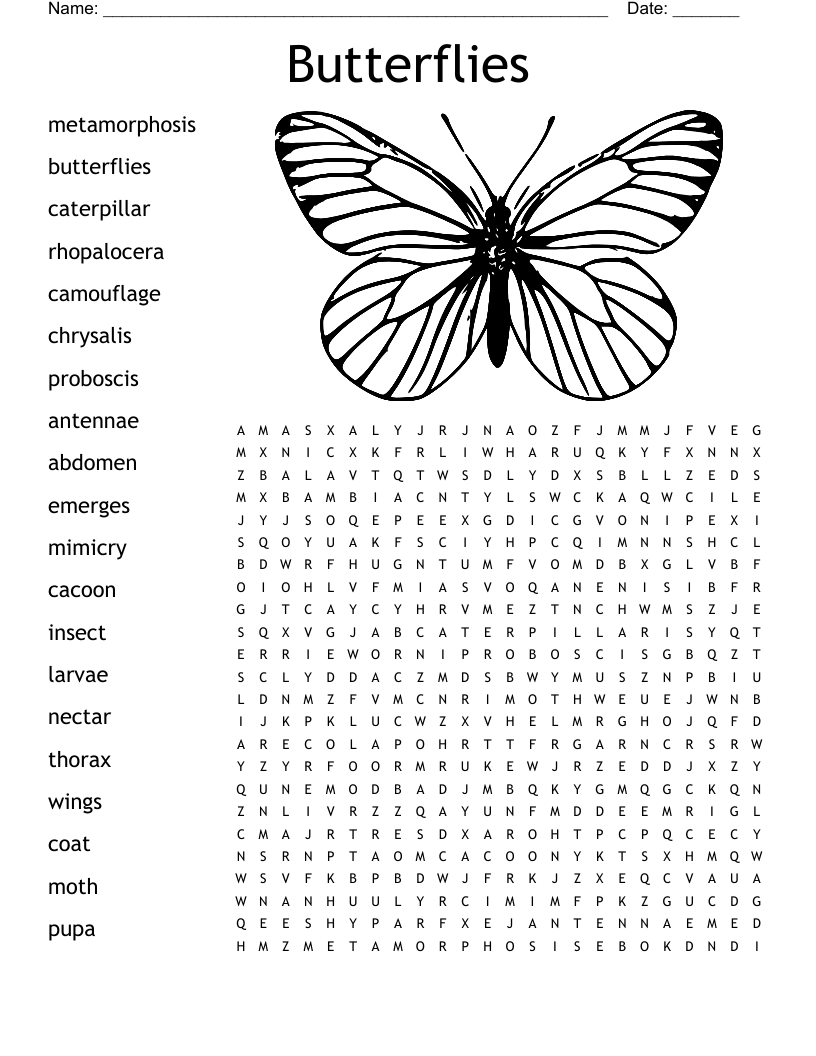 Monarch Butterfly Word Search WordMint