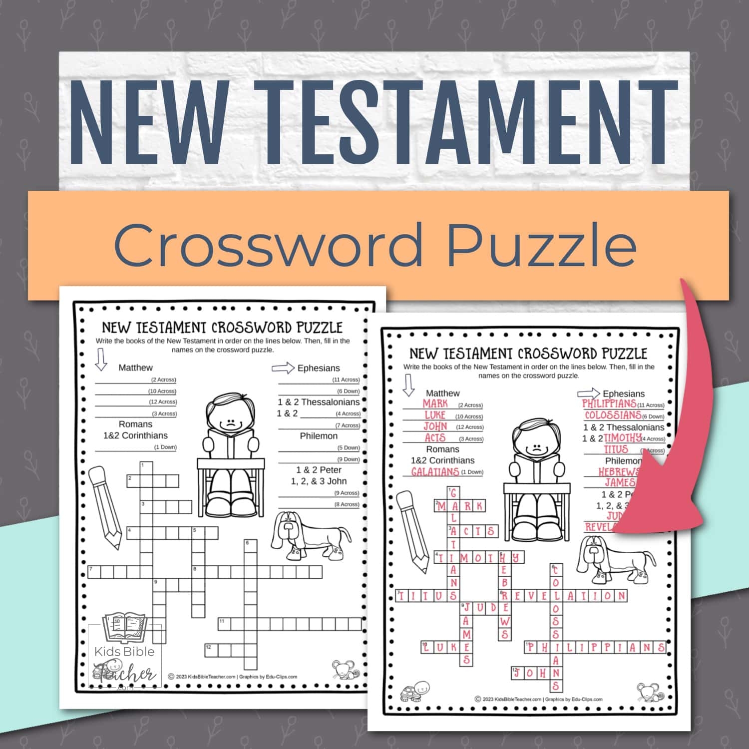 new testament crossword books of the bible puzzle for kids