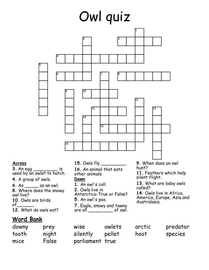 Owl Word Search Printable
