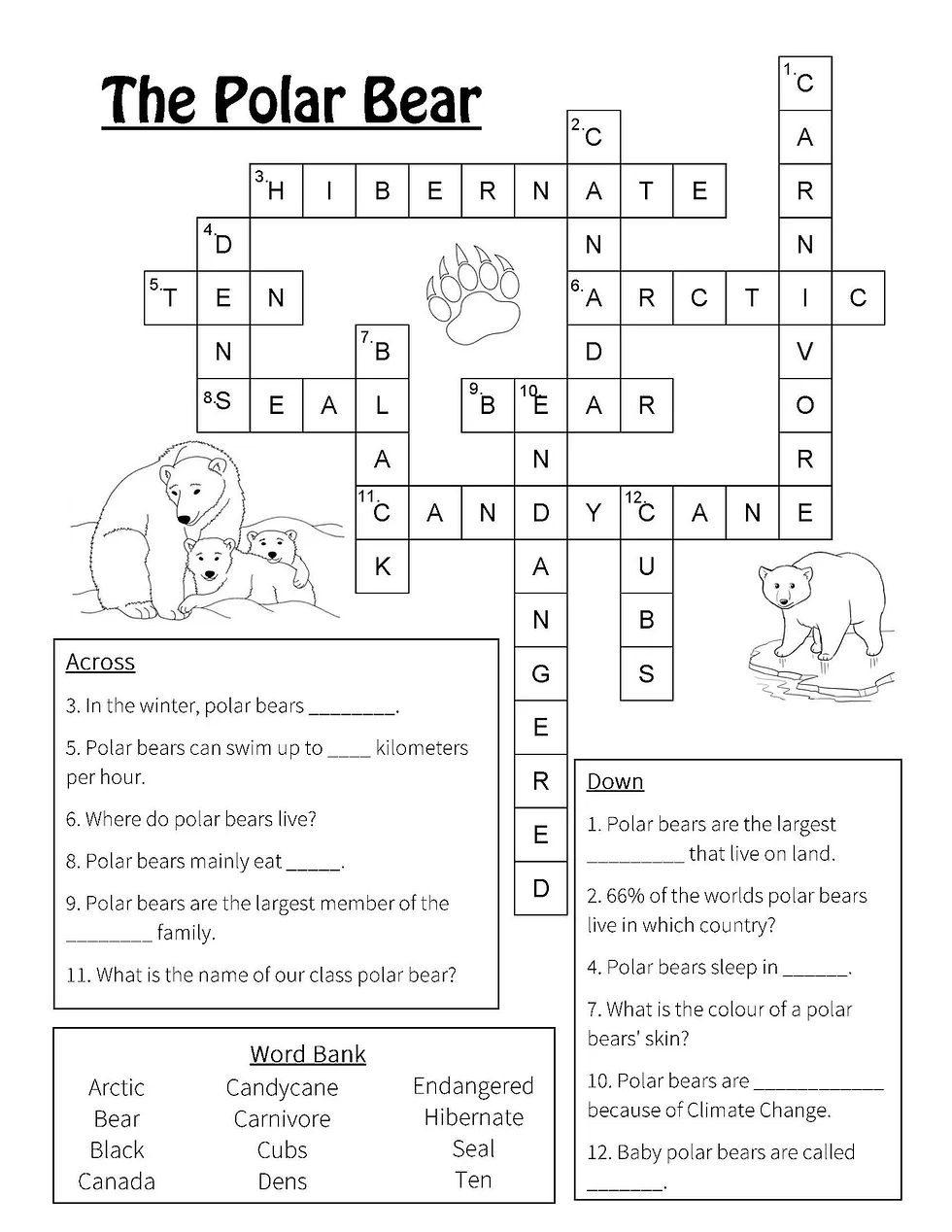 Polar Bear Word Search Printable