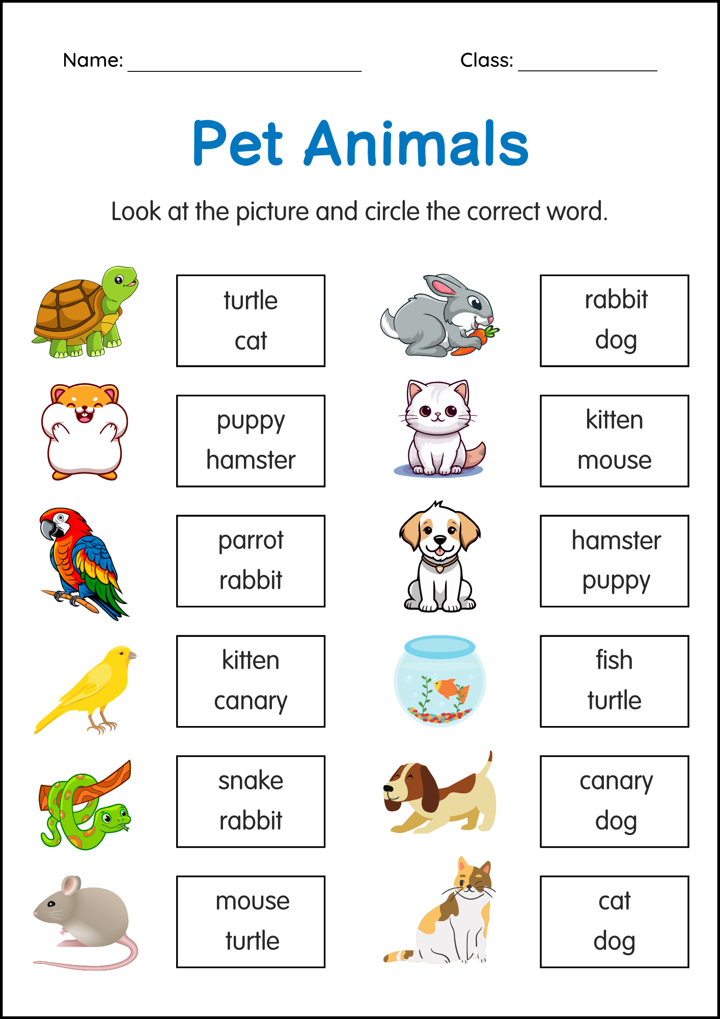 Printable Pets Animals Activity Worksheets For Grade 1 2 3 Made By Teachers