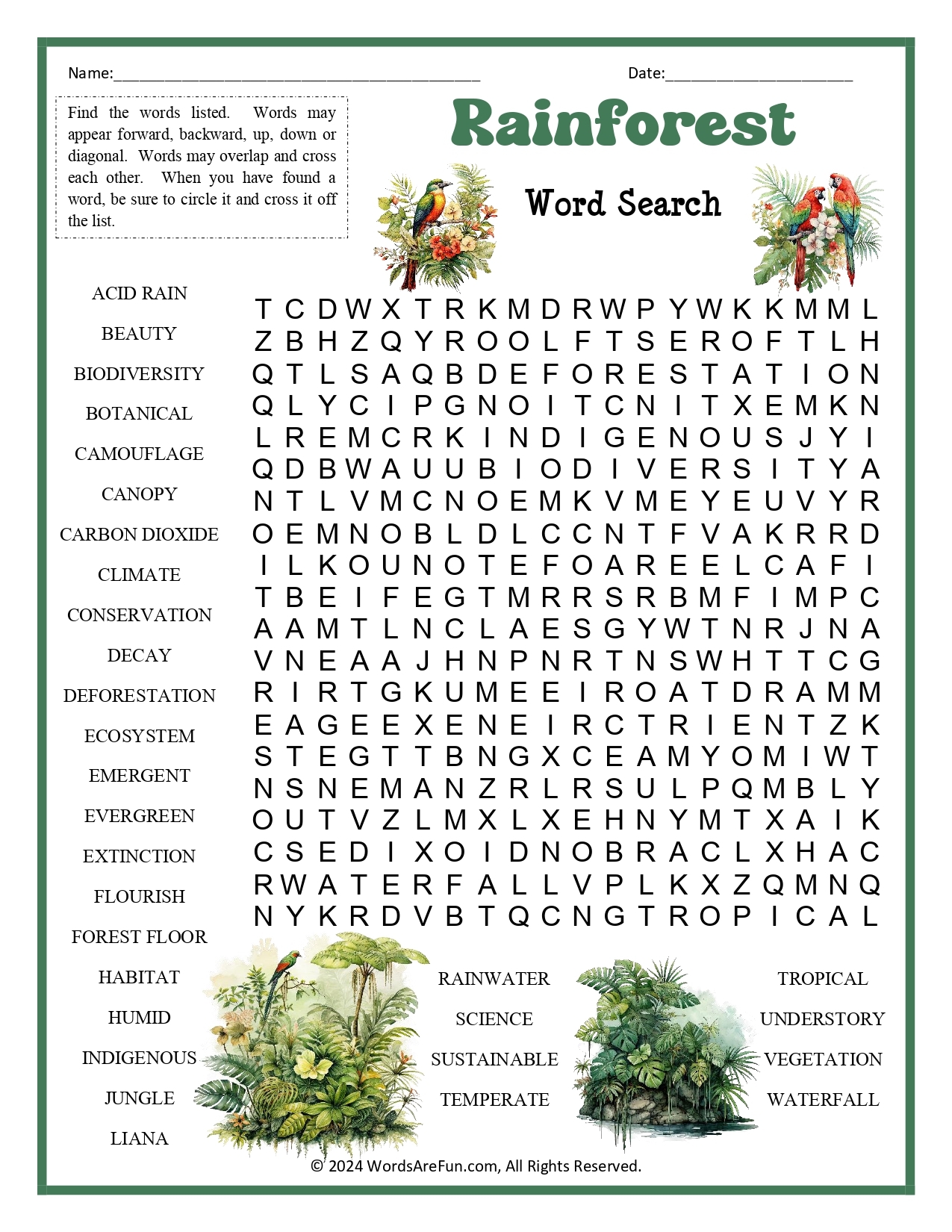 Rainforest Word Search Printable