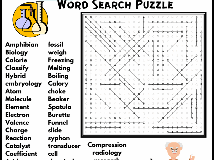 SCIENCE LAB SAFETY VOCABULARY Word Search Puzzle Worksheet Activity Made By Teachers