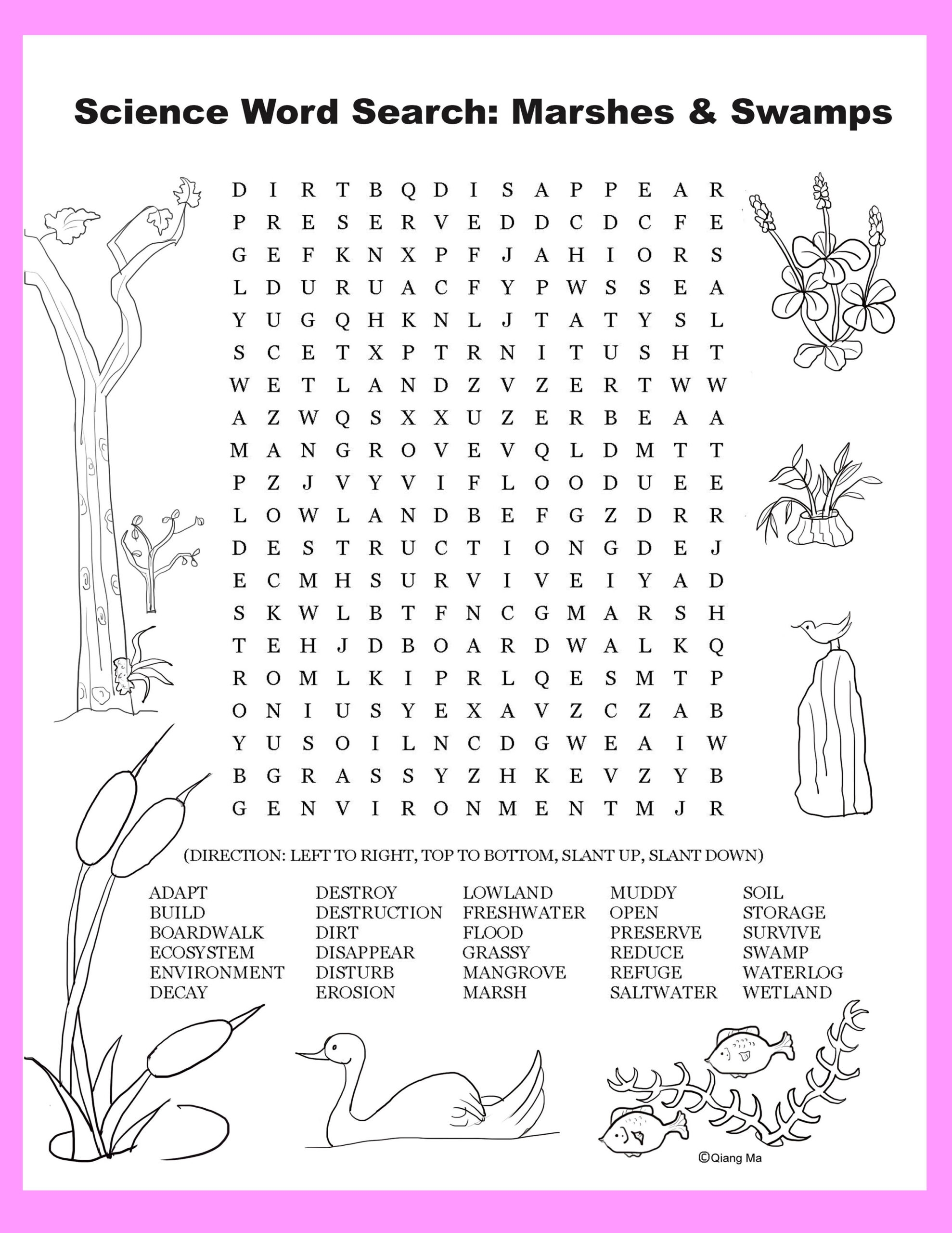 Science Word Search Marshes And Swamps Made By Teachers