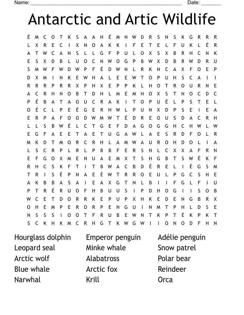 Seals Word Search WordMint