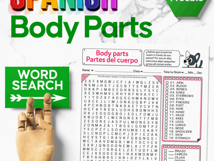 Spanish Word Search Body Parts Can You Find All The Body Parts