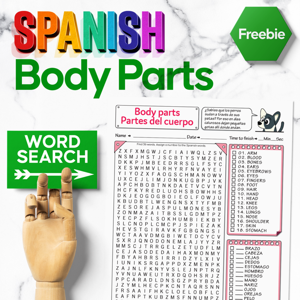  Spanish Word Search Body Parts Can You Find All The Body Parts 
