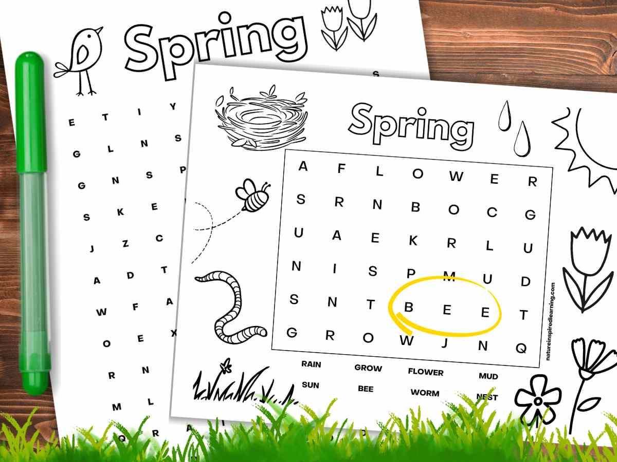 Printable Word Search For Spring