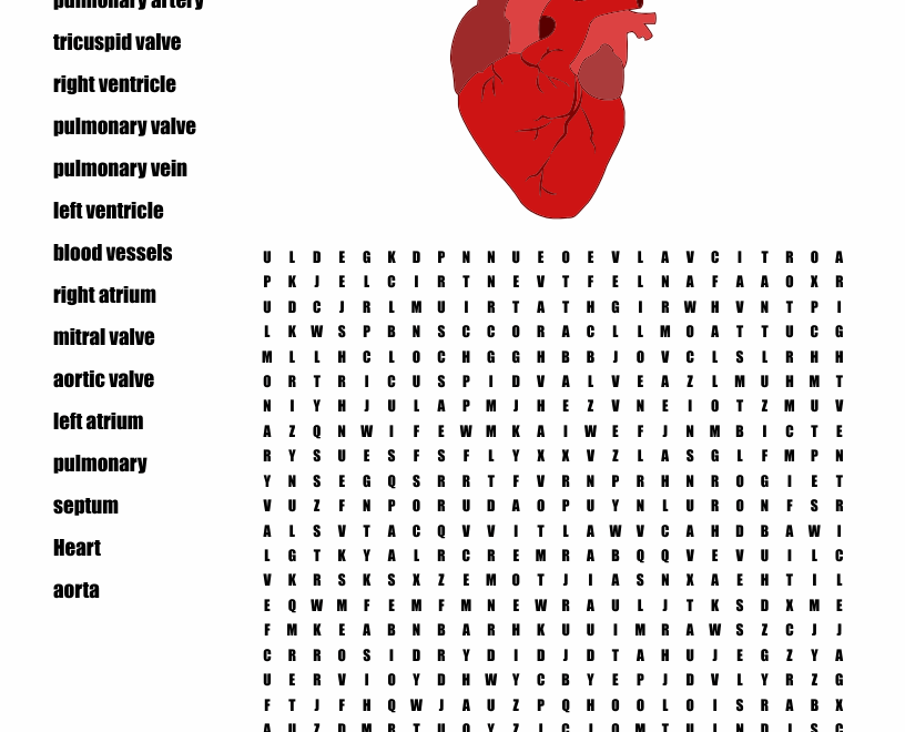 The Heart Word Search WordMint