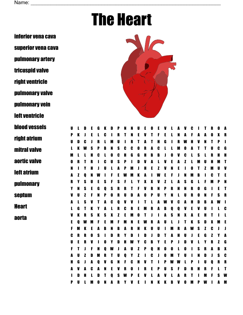 The Heart Word Search WordMint